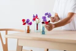 Block Design - Reversible Glass Vase - Small -Green And Blue 5 Block Design - Reversible Glass Vase - Small -Green And Blue -Cloud-Hidden Plants s753278155256112669 p1560 i3 w1125