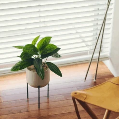 KINTO 211 Planter And Stand 12 KINTO 211 Planter And Stand -Cloud-Hidden Plants s753278155256112669 p1575 i4 w1080