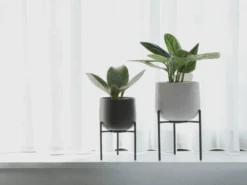 KINTO 211 Planter And Stand 13 KINTO 211 Planter And Stand -Cloud-Hidden Plants s753278155256112669 p1575 i5 w1600