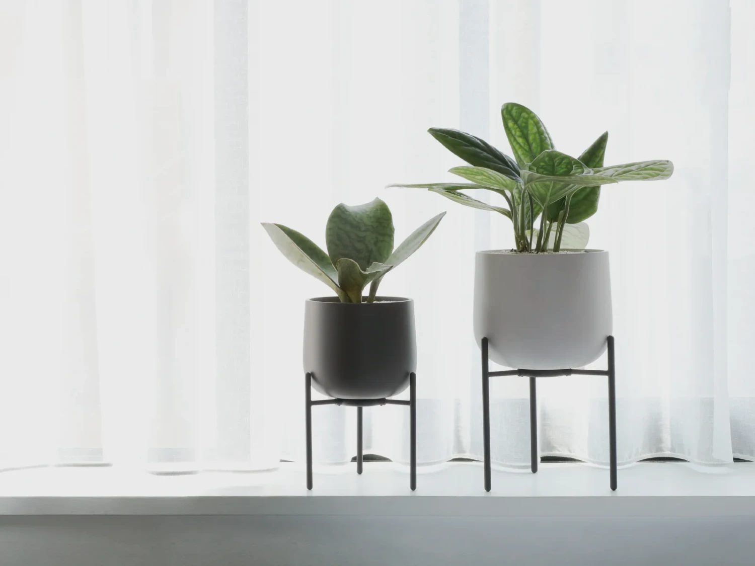 KINTO 211 Planter And Stand 6 KINTO 211 Planter And Stand - Image 6