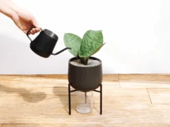KINTO 211 Planter And Stand 14 KINTO 211 Planter And Stand -Cloud-Hidden Plants s753278155256112669 p1575 i6 w1600