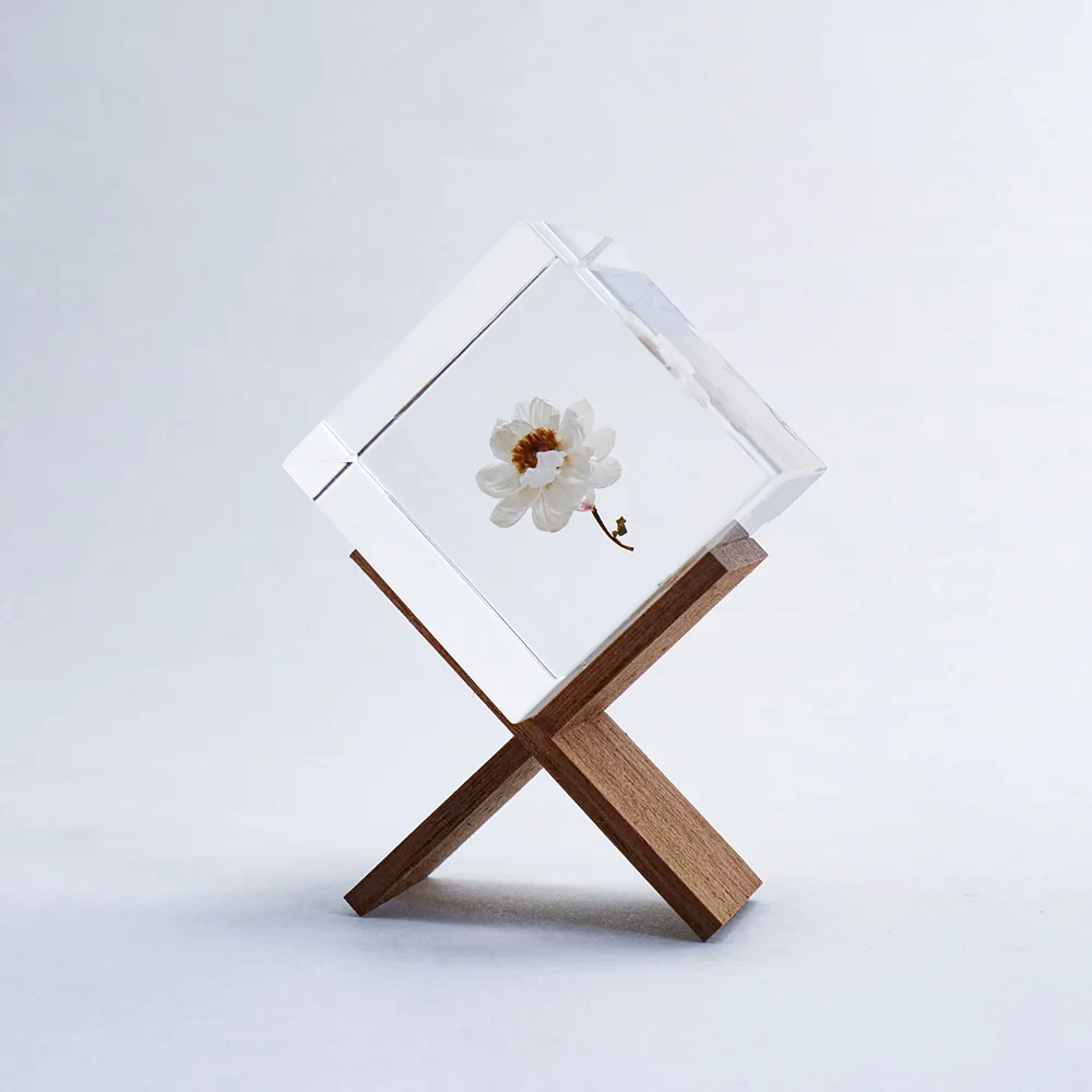 Sola Cube Chamomile Sunray 3 Sola Cube Chamomile Sunray - Image 3