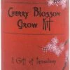 The Jonsteen Company - Japanese Cherry | Seed Grow Kit