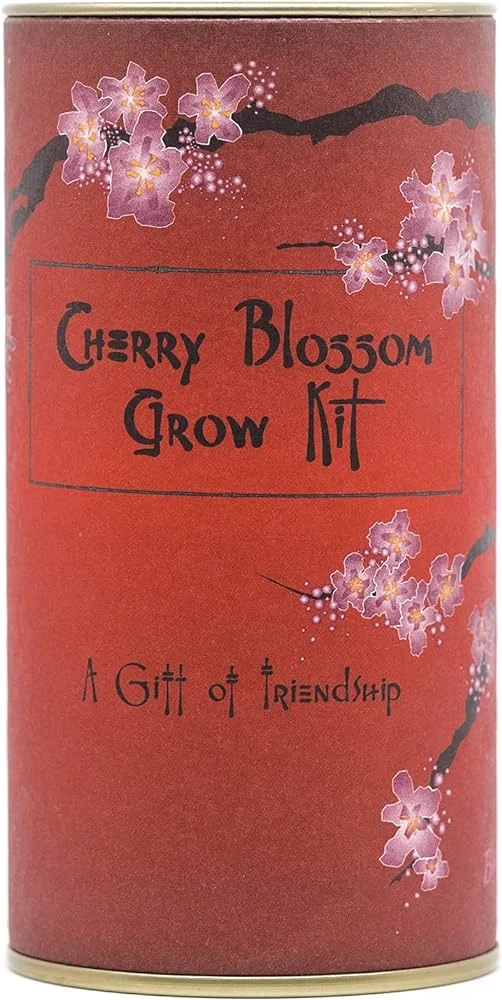 The Jonsteen Company - Japanese Cherry | Seed Grow Kit 1 The Jonsteen Company - Japanese Cherry | Seed Grow Kit