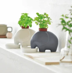 Eleplant - White Elephant Planter By Noted - Sweet Basil