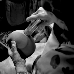 Eleplant - White Elephant Planter By Noted - Sweet Basil 6 Eleplant - White Elephant Planter By Noted - Sweet Basil -Cloud-Hidden Plants s753278155256112669 p1652 i3 w1608