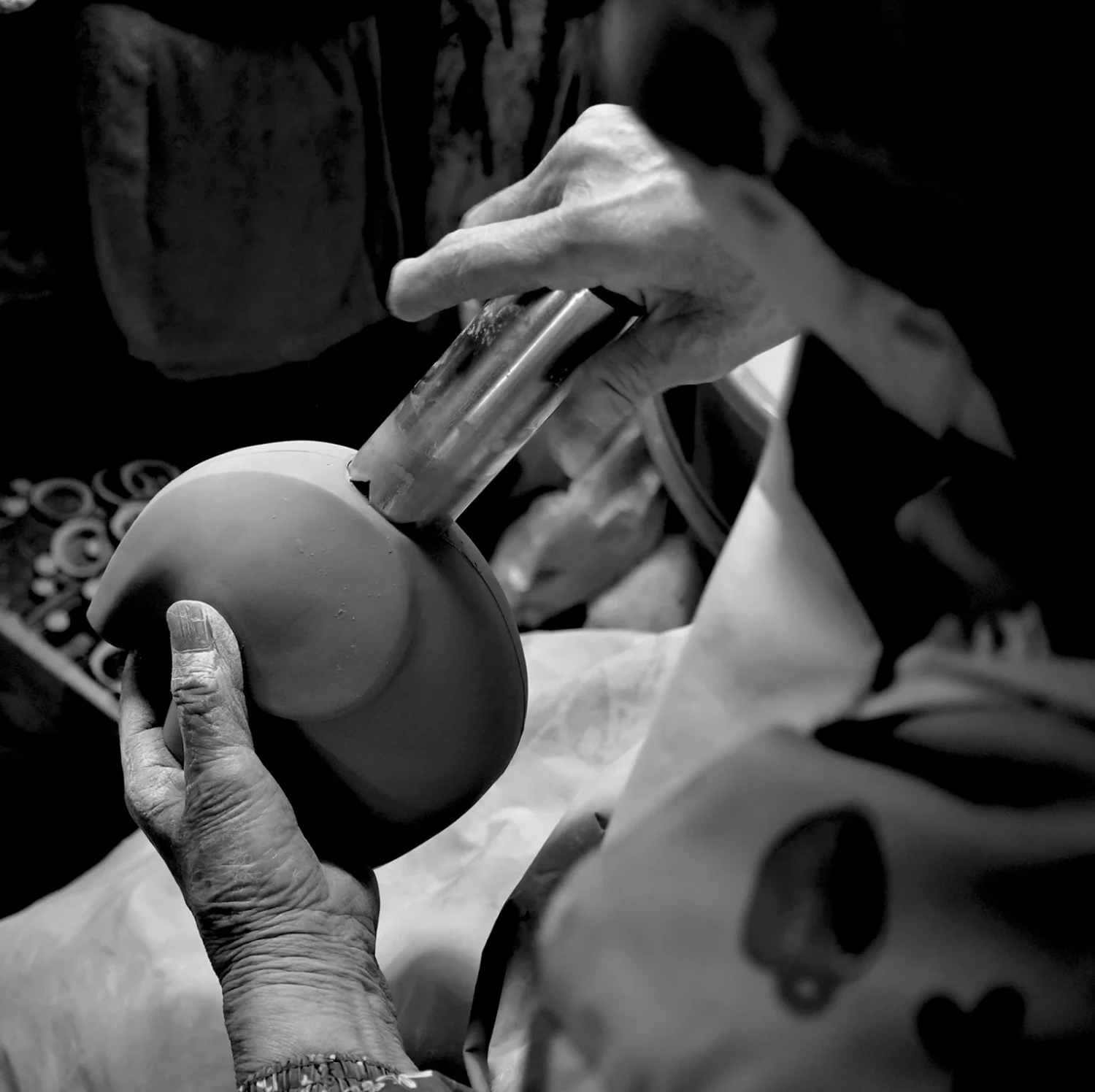 Eleplant - White Elephant Planter By Noted - Sweet Basil 3 Eleplant - White Elephant Planter By Noted - Sweet Basil - Image 3