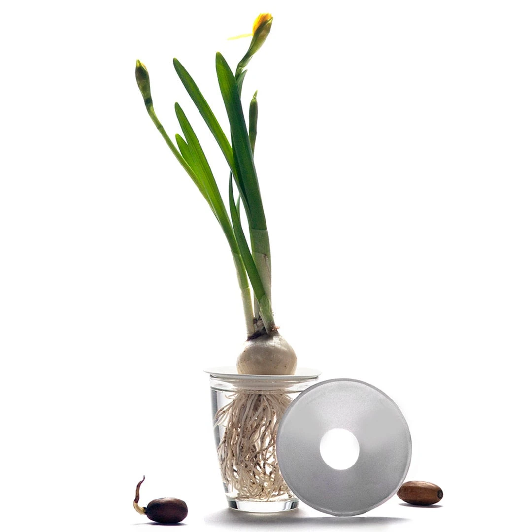 Botanopia Propagation Plate - Large Hole 1 Botanopia Propagation Plate - Large Hole