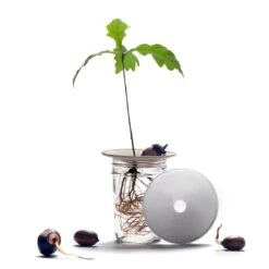 Botanopia Propagation Plate - Small Hole