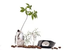 Botanopia Propagation Plate - Small Hole 21 Botanopia Propagation Plate - Small Hole -Cloud-Hidden Plants s753278155256112669 p357 i11 w1080