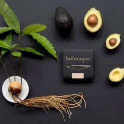 Botanopia Propagation Plate - Small Hole 16 Botanopia Propagation Plate - Small Hole -Cloud-Hidden Plants s753278155256112669 p357 i5 w1080