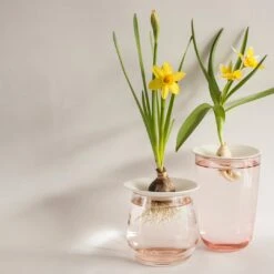 Cloud-Hidden Plants 39 Cloud-Hidden Plants -Cloud-Hidden Plants s753278155256112669 p357 i6 w1080