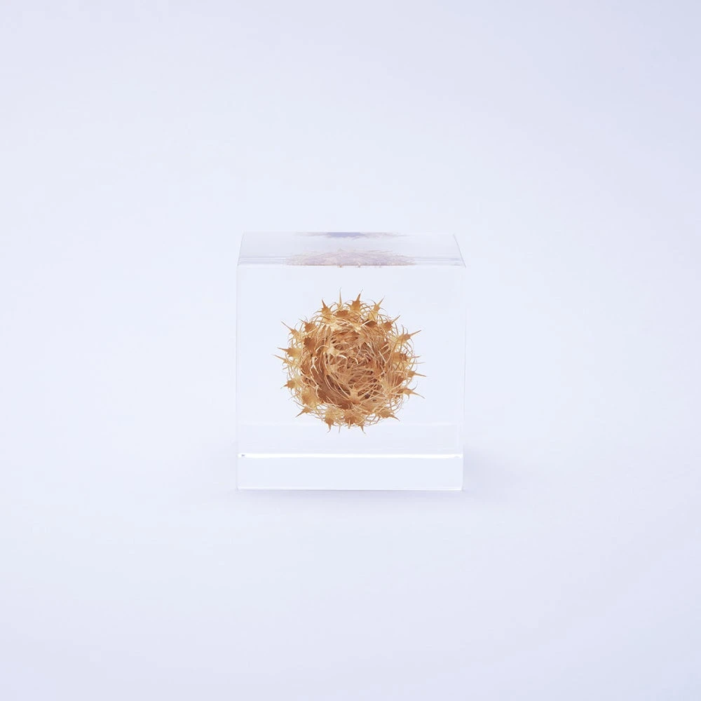 Sola Cube Basket Flower 3 Sola Cube Basket Flower - Image 3