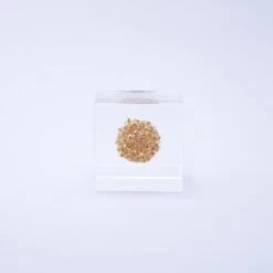 Sola Cube Basket Flower 9 Sola Cube Basket Flower -Cloud-Hidden Plants s753278155256112669 p427 i4 w1000