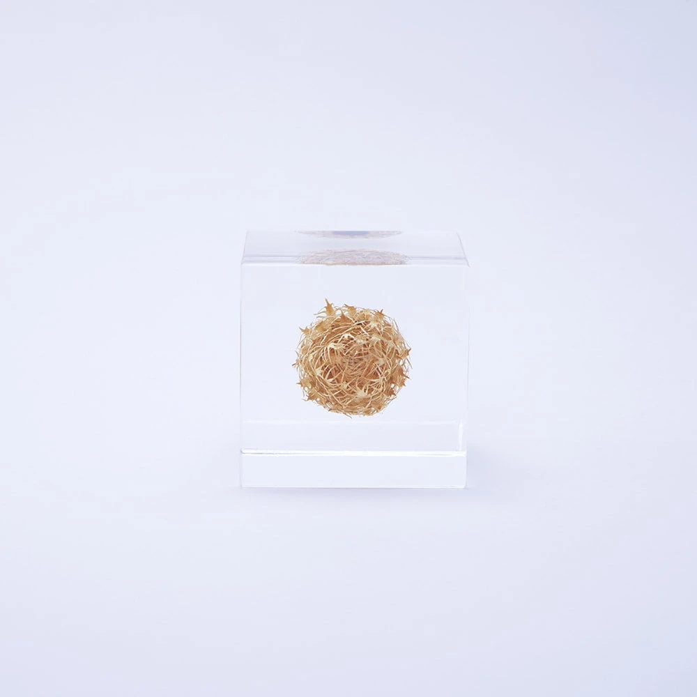 Sola Cube Basket Flower 4 Sola Cube Basket Flower - Image 4