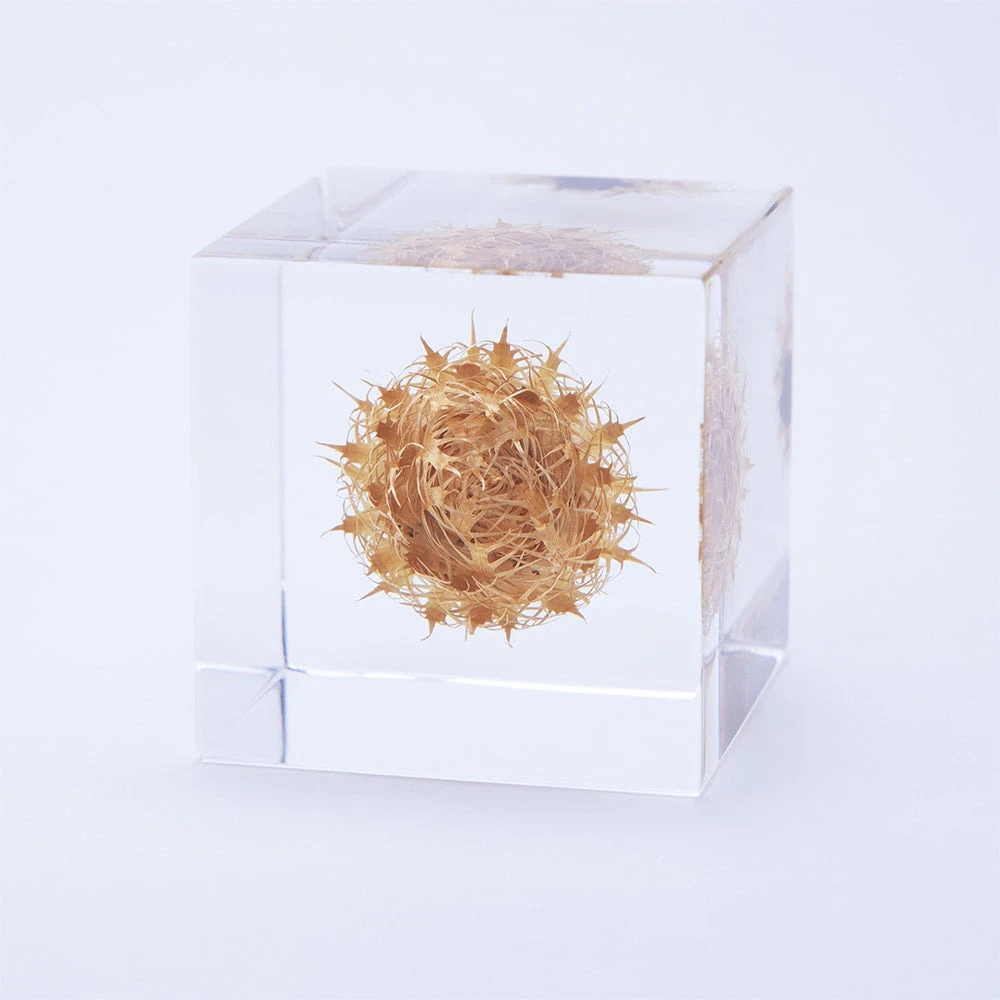 Sola Cube Basket Flower 2 Sola Cube Basket Flower - Image 2