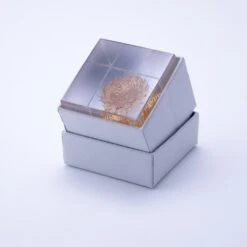 Sola Cube Basket Flower 11 Sola Cube Basket Flower -Cloud-Hidden Plants s753278155256112669 p427 i6 w1000