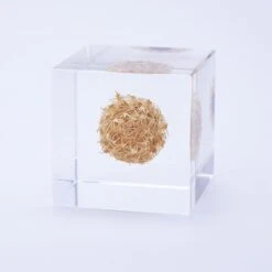 Sola Cube Basket Flower