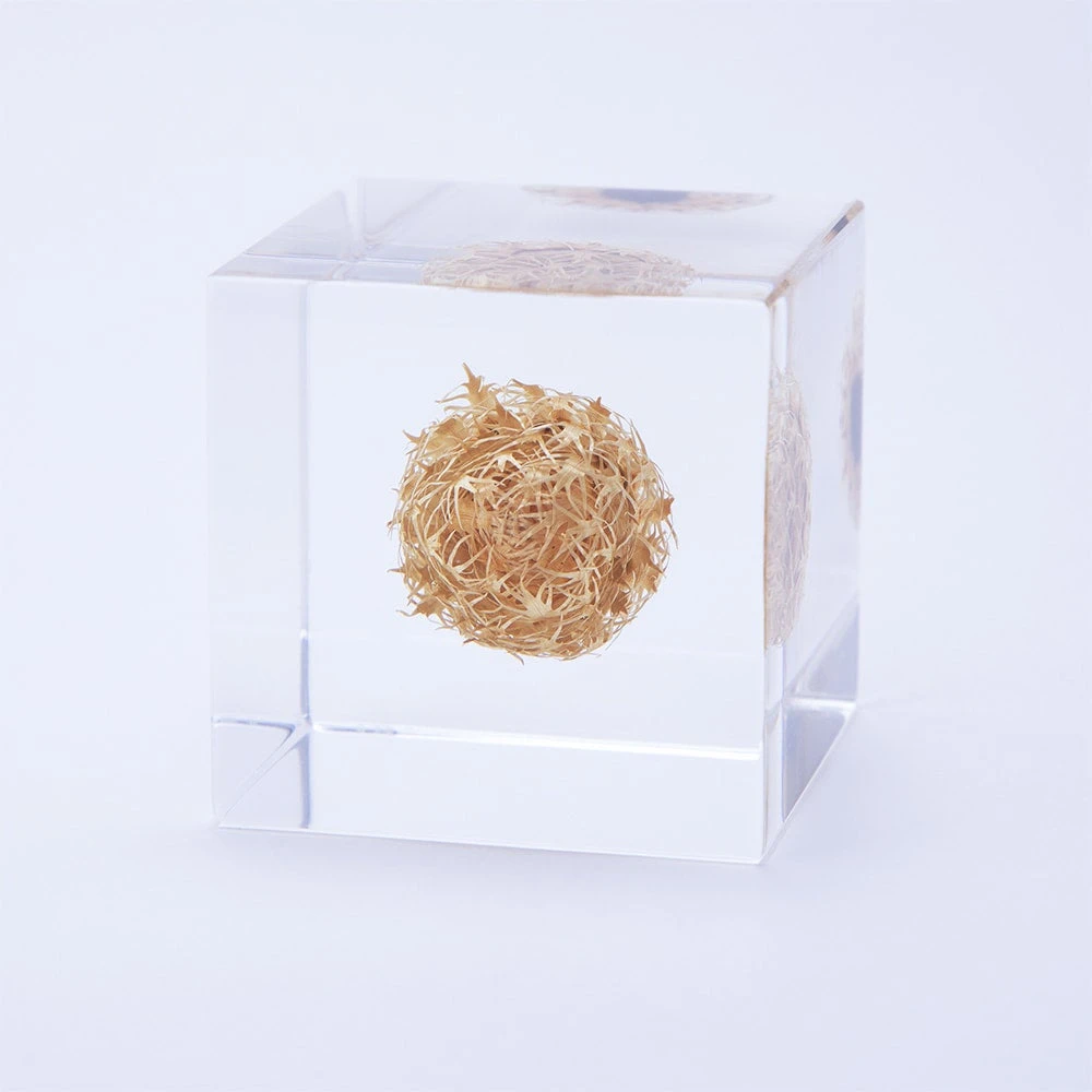 Sola Cube Basket Flower 1 Sola Cube Basket Flower