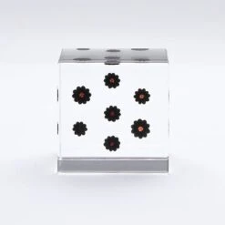 Sola Cube Pokeweed 12 Sola Cube Pokeweed -Cloud-Hidden Plants s753278155256112669 p430 i2 w800