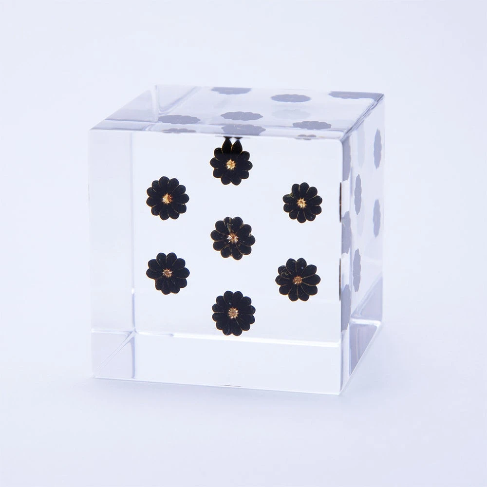 Sola Cube Pokeweed 2 Sola Cube Pokeweed - Image 2