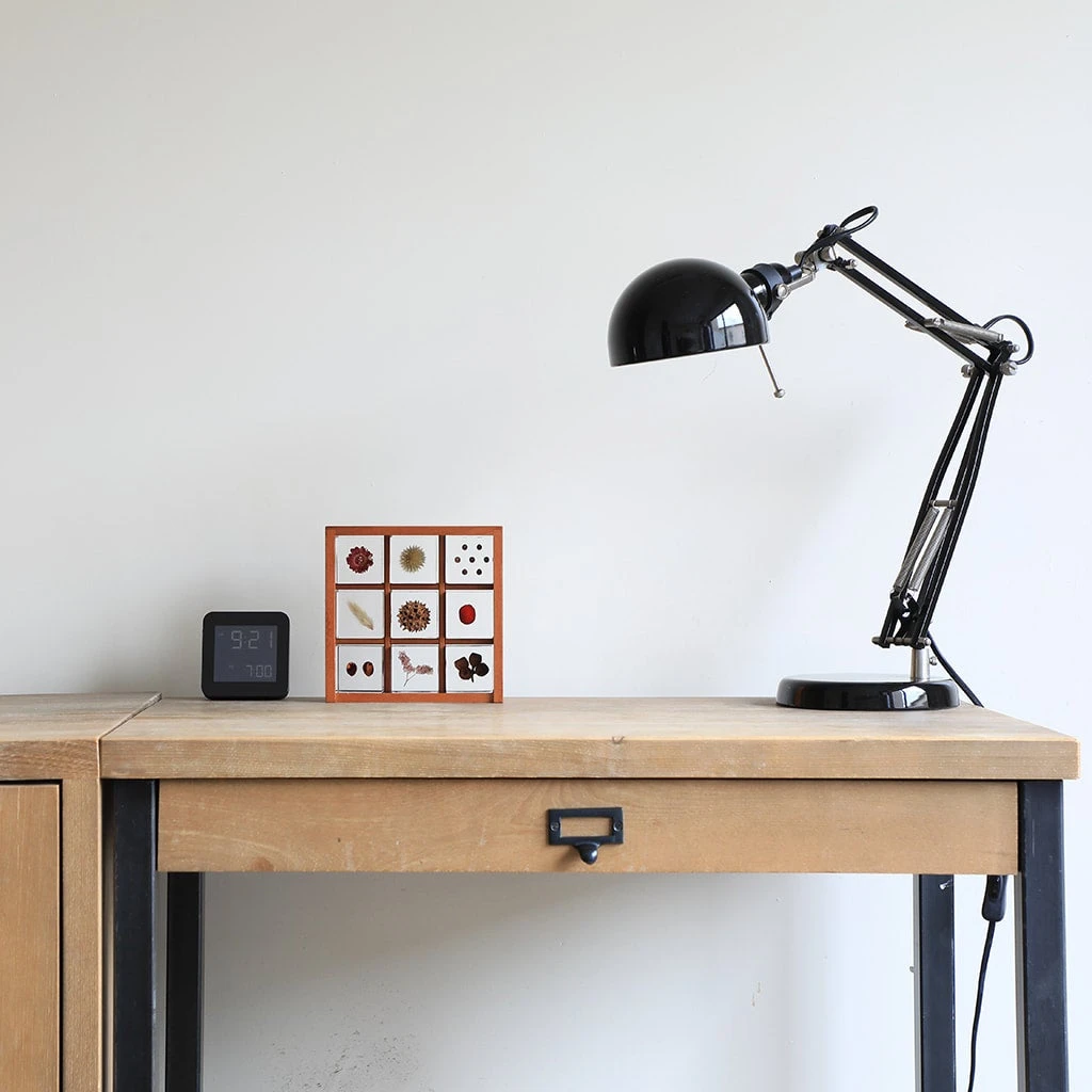 Sola Cube Velvetleaf 4 Sola Cube Velvetleaf - Image 4