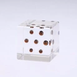 Sola Cube Balloon Plant