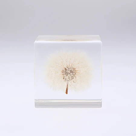 Sola Cube Dandelion 6 Sola Cube Dandelion - Image 6