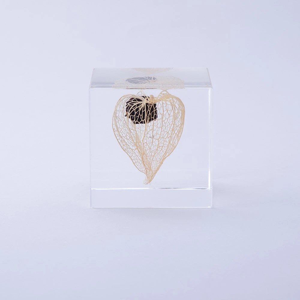 Sola Cube Chinese Lantern 3 Sola Cube Chinese Lantern - Image 3