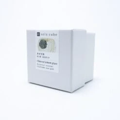 Sola Cube Chinese Lantern 11 Sola Cube Chinese Lantern -Cloud-Hidden Plants s753278155256112669 p440 i8 w1000