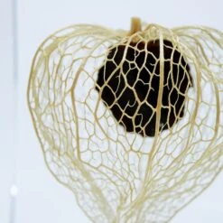 Sola Cube Chinese Lantern