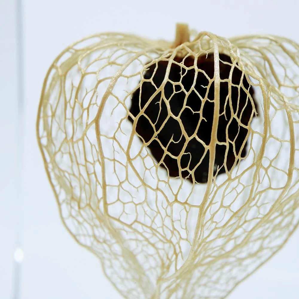 Sola Cube Chinese Lantern 1 Sola Cube Chinese Lantern