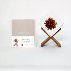 Sola Cube Stand - Brown
