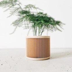 Japan Planter By Minimum Design -Cloud-Hidden Plants s753278155256112669 p494 i3 w1024