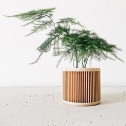 Japan Planter By Minimum Design