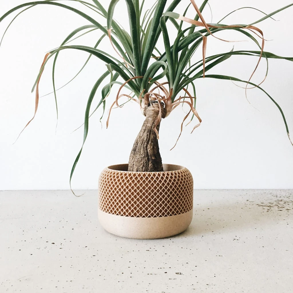 Apple Planter By Minimum Design 2 Apple Planter By Minimum Design - Image 2
