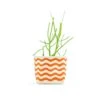 Wavy Line Orange 4 Inch Canvas Planter By GRAY GREEN GOODS