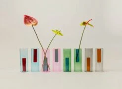 Cloud-Hidden Plants 47 Cloud-Hidden Plants -Cloud-Hidden Plants s753278155256112669 p640 i3 w1032