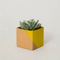 Geometric Plant Pot Cover - Washable Paper 9 Geometric Plant Pot Cover - Washable Paper -Cloud-Hidden Plants s753278155256112669 p733 i1 w750