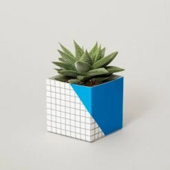 Geometric Plant Pot Cover - Washable Paper 8 Geometric Plant Pot Cover - Washable Paper -Cloud-Hidden Plants s753278155256112669 p733 i2 w750