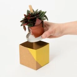 Geometric Plant Pot Cover - Washable Paper 11 Geometric Plant Pot Cover - Washable Paper -Cloud-Hidden Plants s753278155256112669 p733 i4 w750