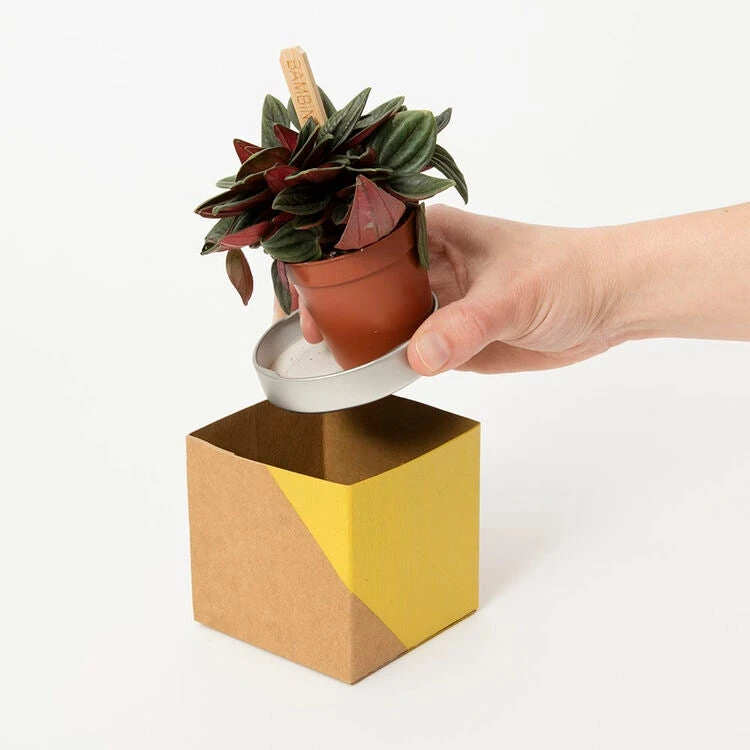 Geometric Plant Pot Cover - Washable Paper 6 Geometric Plant Pot Cover - Washable Paper - Image 6