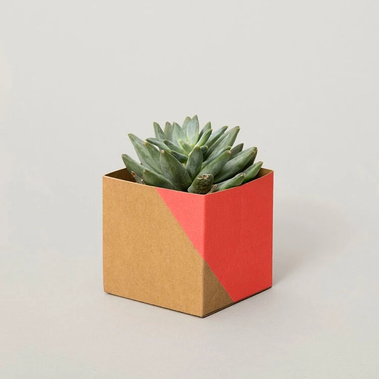 Geometric Plant Pot Cover - Washable Paper 2 Geometric Plant Pot Cover - Washable Paper - Image 2