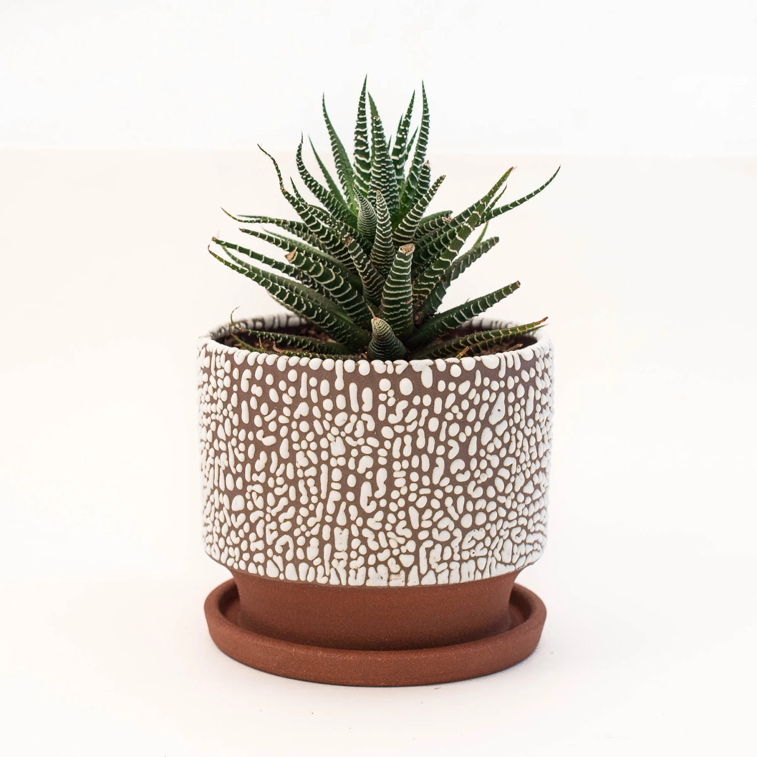 Zziee Medium Bead-Glaze Planter 2 Zziee Medium Bead-Glaze Planter - Image 2