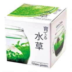 Water Garden - Tiny Plant Aquarium By NOTED -Cloud-Hidden Plants s753278155256112669 p753 i2 w650