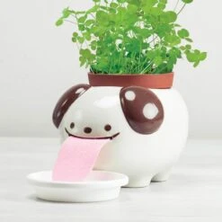Peropon Licking Animal Planter 17 Peropon Licking Animal Planter -Cloud-Hidden Plants s753278155256112669 p754 i3 w800