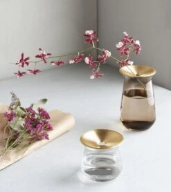 Small KINTO Luna Vase 7 Small KINTO Luna Vase -Cloud-Hidden Plants s753278155256112669 p782 i2 w750