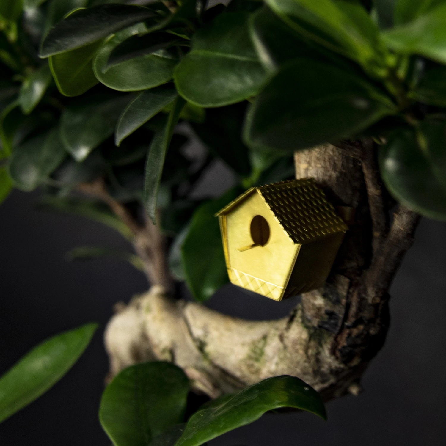 Tiny Birdhouse By BOTANOPIA 5 Tiny Birdhouse By BOTANOPIA - Image 5