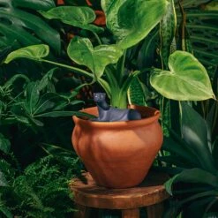 DOIY Design Jangal Panther Self-Watering System -Cloud-Hidden Plants s753278155256112669 p807 i4 w1200