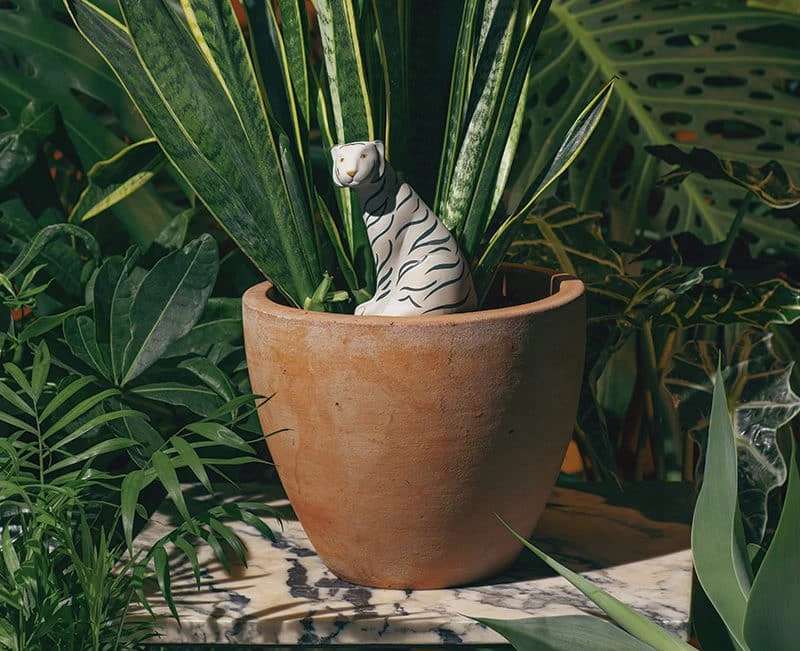 DOIY Design Jangal Tiger Self-Watering System 4 DOIY Design Jangal Tiger Self-Watering System - Image 4